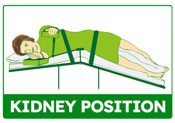 Kidney Position