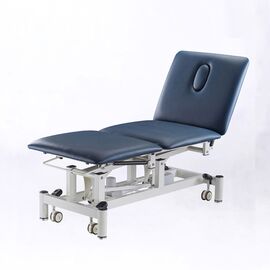 Robin Equal Electric Treatment Table