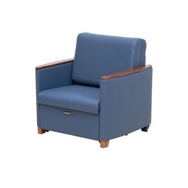 Sofa-Style Luxury Accompany Chair