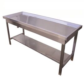 Stainless Steel Dissection Table