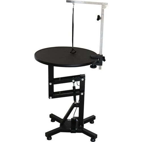 Electric Pet Grooming Table Price