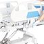 Five Functions Electric Hospital Bed price