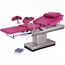 Gynecological Birthing Bed Manufacturer