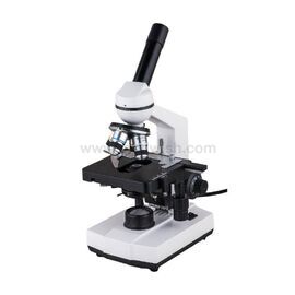student microscope science