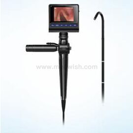 Airway Mobile Endoscope